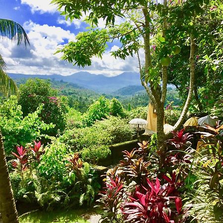 Gunung Paradis Retreat Munduk  Ngoại thất bức ảnh