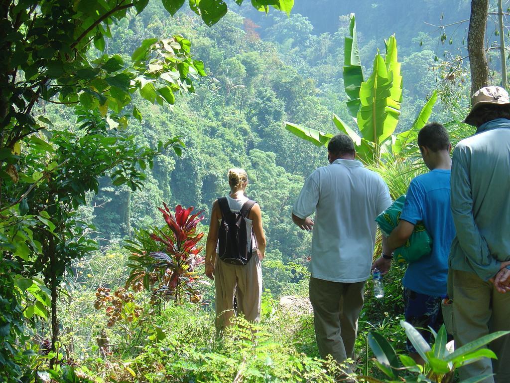 Gunung Paradis Retreat Munduk  Ngoại thất bức ảnh