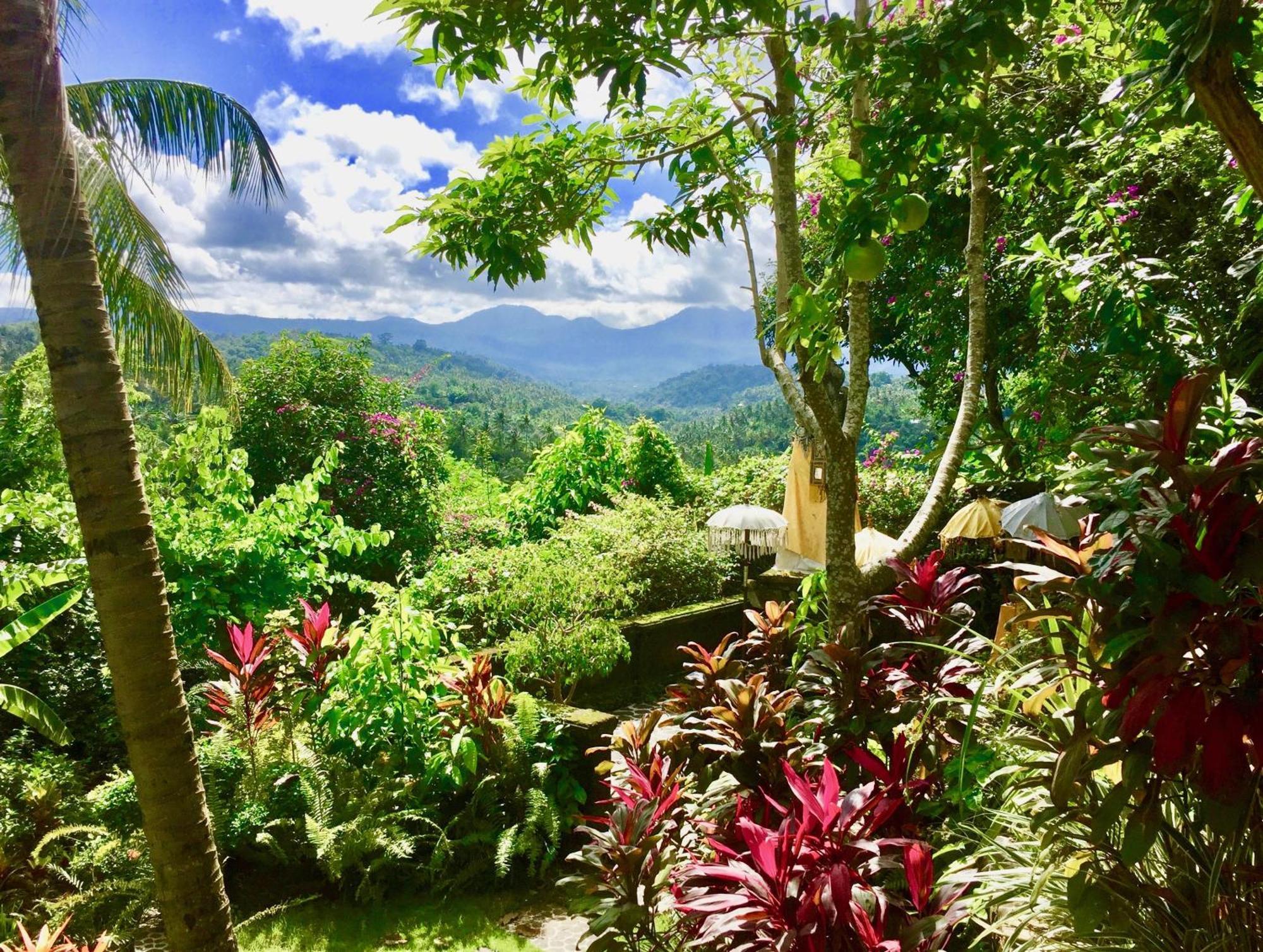 Gunung Paradis Retreat Munduk  Ngoại thất bức ảnh