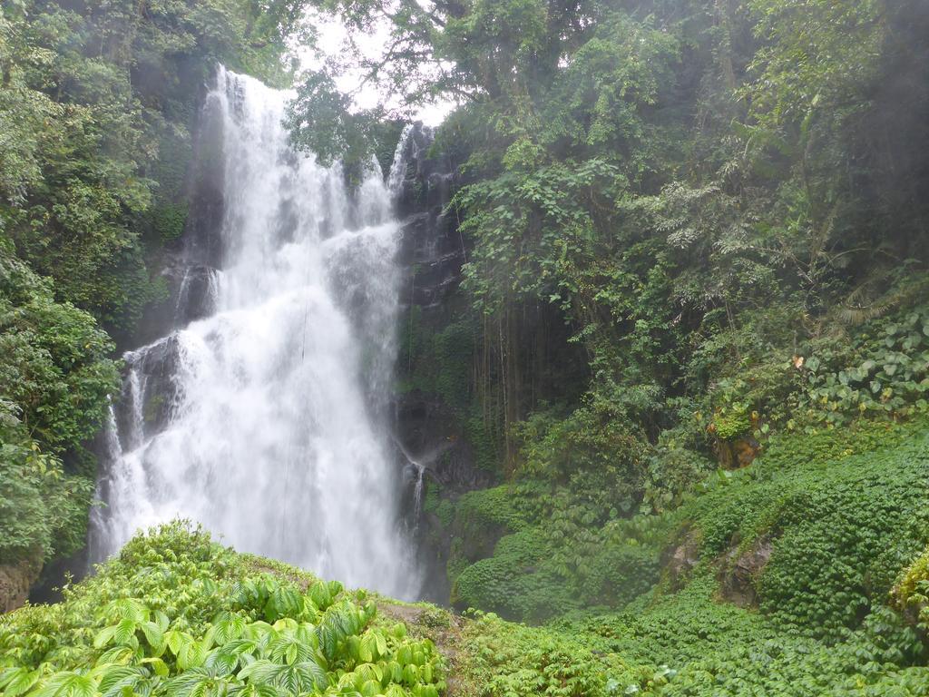 Gunung Paradis Retreat Munduk  Ngoại thất bức ảnh