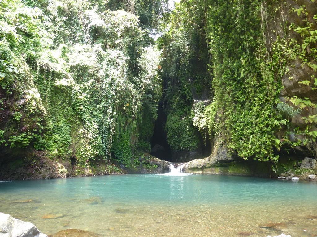 Gunung Paradis Retreat Munduk  Ngoại thất bức ảnh