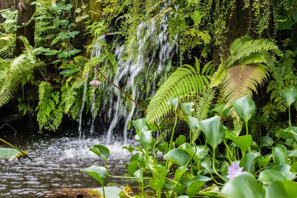 Gunung Paradis Retreat Munduk  Ngoại thất bức ảnh